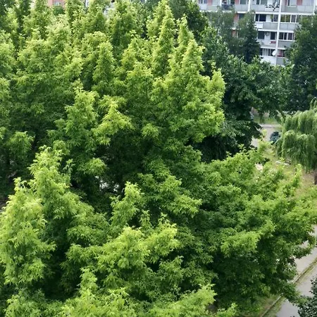 Διαμέρισμα Rosna Centrum